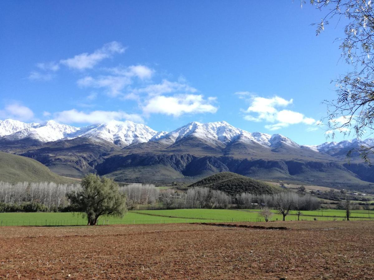 Bed and Breakfast Blue Lily Retreat Matjiesrivier  Exterior foto