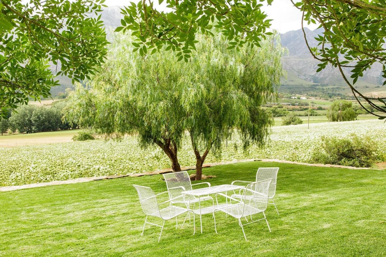 Bed and Breakfast Blue Lily Retreat Matjiesrivier  Exterior foto