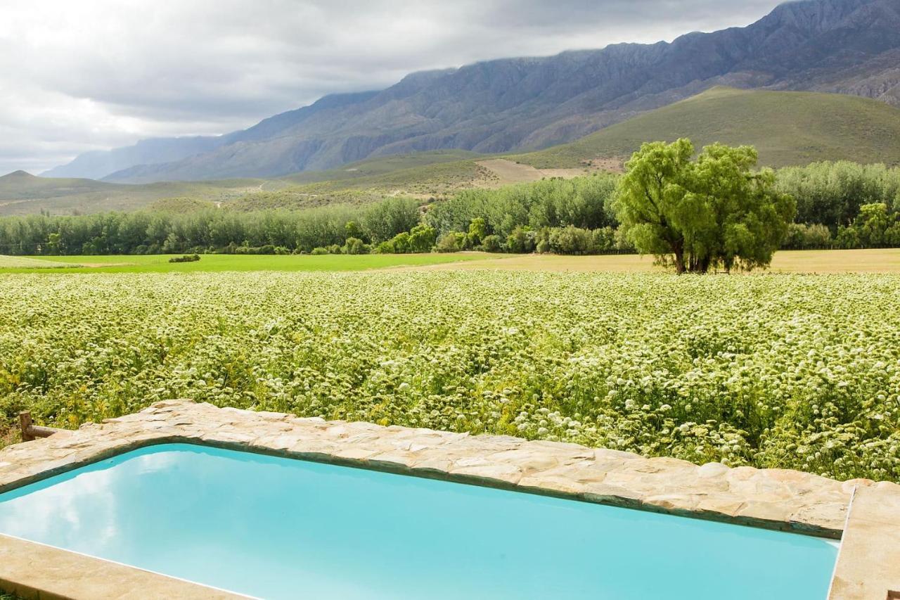 Bed and Breakfast Blue Lily Retreat Matjiesrivier  Exterior foto