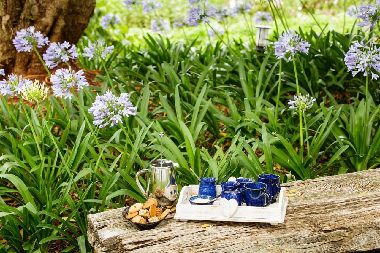 Bed and Breakfast Blue Lily Retreat Matjiesrivier  Exterior foto