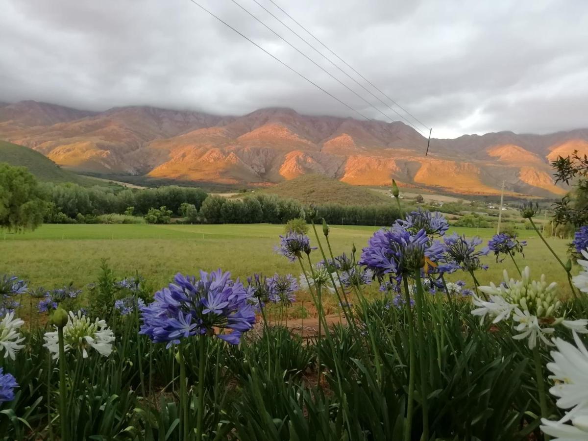 Bed and Breakfast Blue Lily Retreat Matjiesrivier  Exterior foto
